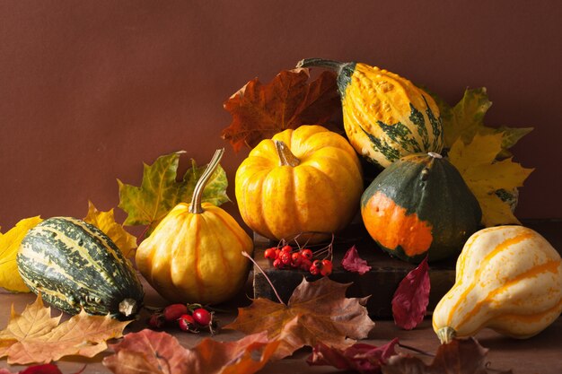 Decorative mini pumpkins autumn leaves for halloween thanksgiving