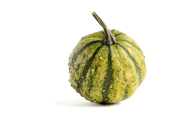 Decorative pumpkin of green color isolate on a white background.