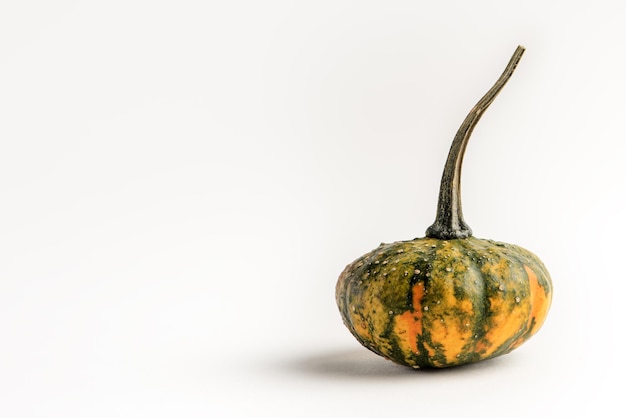 Decorative pumpkin for the Halloween holiday on a white background A pumpkin casts a shadow Suitable for pasting into a Halloween promotional banner