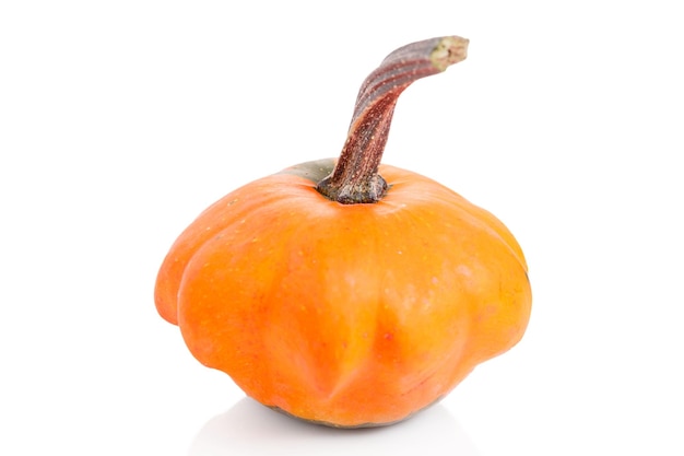 Decorative pumpkin isolated on white background Autumn fall halloween concept