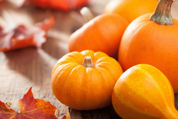 Decorative pumpkins and autumn leaves for halloween