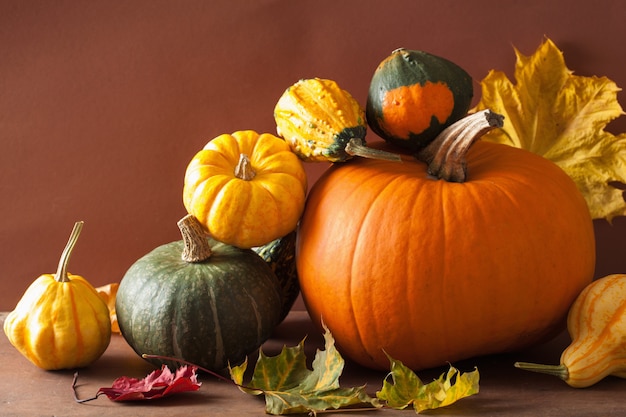 Decorative pumpkins and autumn leaves for halloween