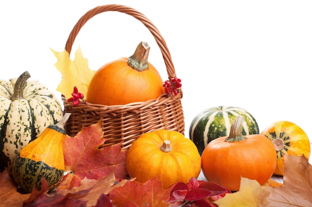 Decorative pumpkins and autumn leaves isolated