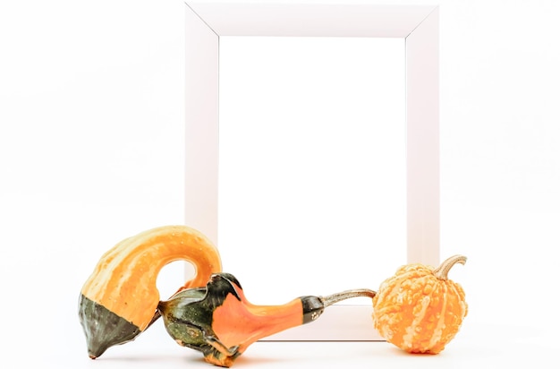 Decorative pumpkins and an empty frame on a white background