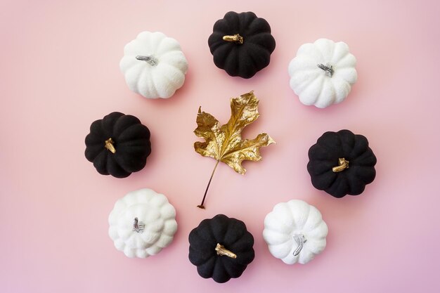 Decorative pumpkins and a golden maple leaf are laid out in a circle