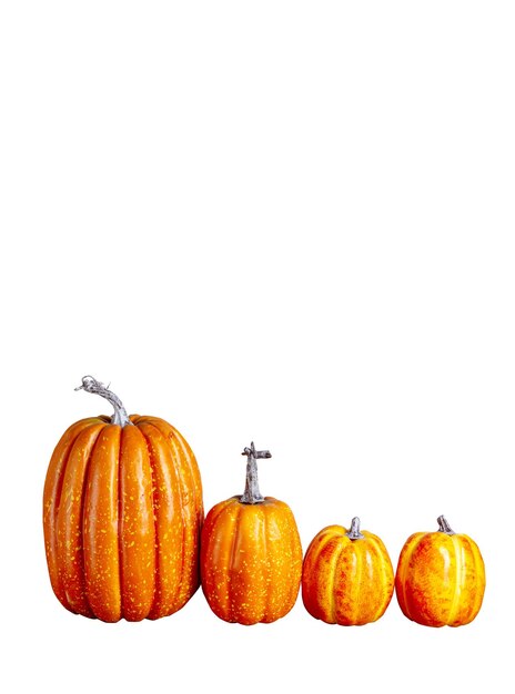 Decorative Pumpkins isolated over white background Halloween Concept Autumn fall Copy space