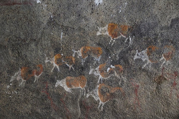 Decorative rock art of ancient tribes at the Danish zoo