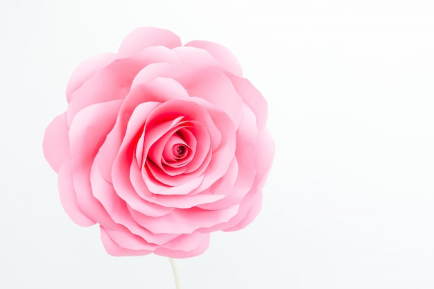 Decorative rose bud on a white background