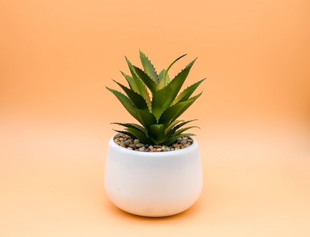 Decorative scarlet flower in a white pot on a uniform background.