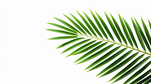 Decorative tropical plants green leaf set design AI Generated