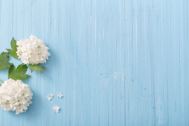 Decorative viburnum on a wooden background