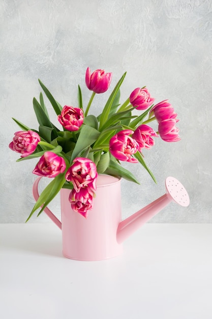 Decorative watering can with pink tulips Gardening concept