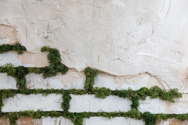 Decorative white brick wall with moss