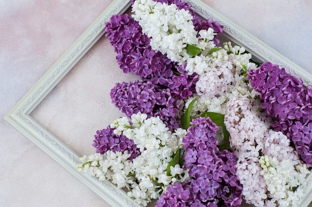 In a decorative white frame a bouquet of lilacs