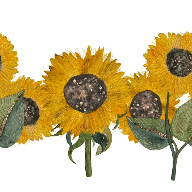 Decorative yellow sunflowers with green leaves watercolor seamless border