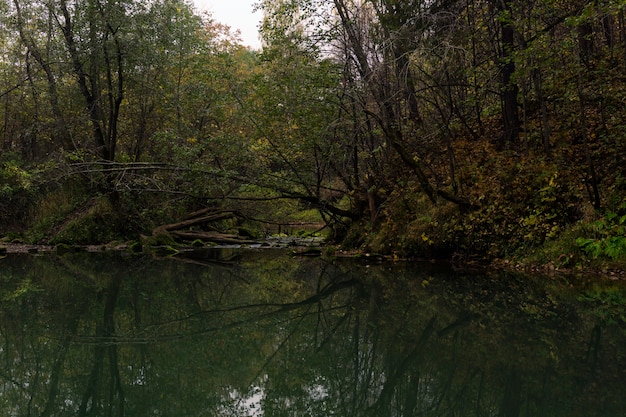 Deep lost forest karst lake in the autumn dusk