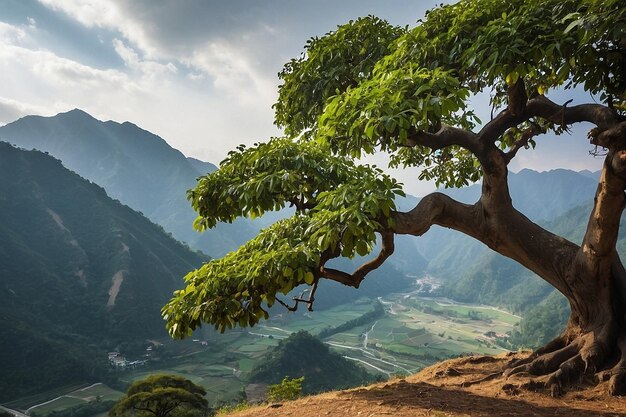 Default Bodhi tree with a beautiful mountain pass