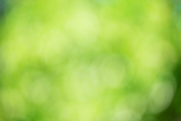 Defocus light green natural background with plants. Naturalness concept.