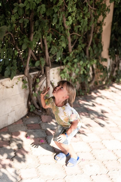 Defocused blurred photo of happy candid little kid boy of five years old is having fun on a summer vacation on a travel child jumps up trying to reach a plant on the city streets outdoor