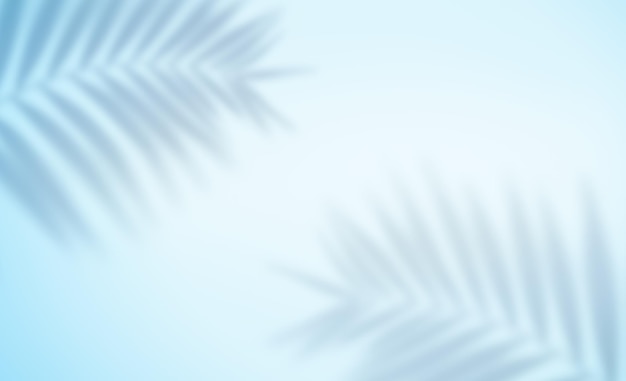 Defocused summer background with shadows from palm leaves on a light blue background