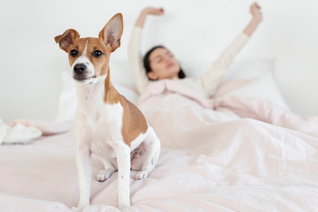 Defocused woman in bed with her dog