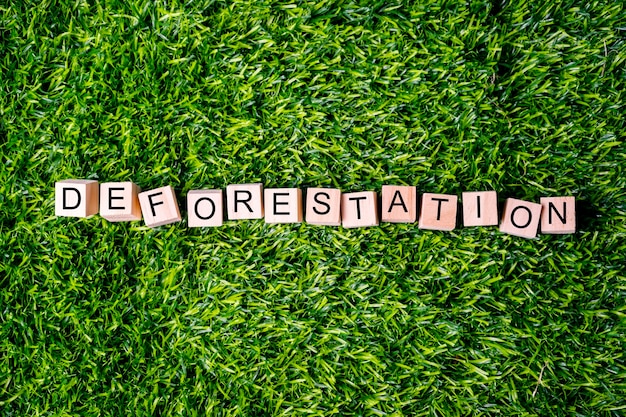 Deforestaion words written on wooden cubes over green grass Save planet climate change and enviromanetal concept