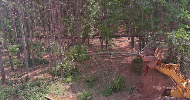 Deforestation dozers for deforestation and preparing land for construction to construct houses in a residential complex