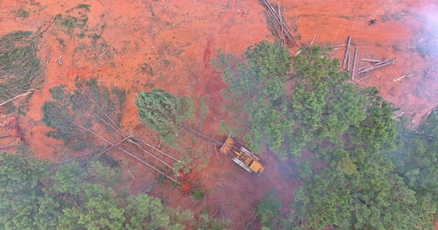 Deforestation forest cleaning and preparation for construction with a used to dozer