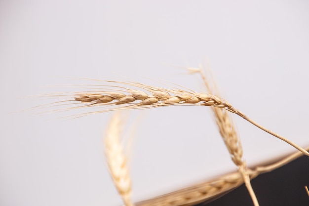 Dehydrated wheat used for decoration