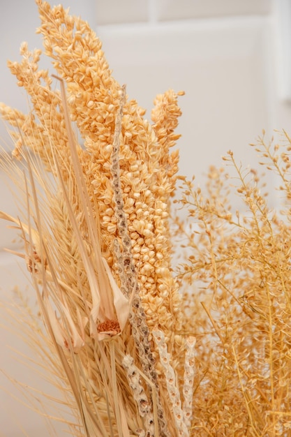 Dehydrated wheat used for decoration