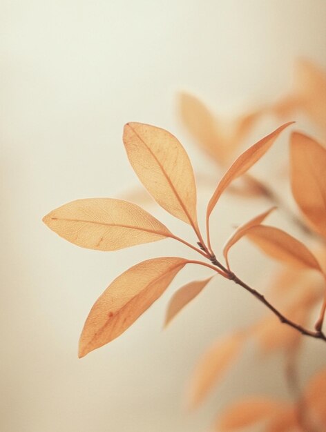 Photo delicate autumn leaves on soft background nature aesthetics and seasonal beauty