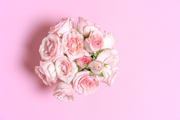 Delicate blooming pink flowers blooming roses festive pink background pastel