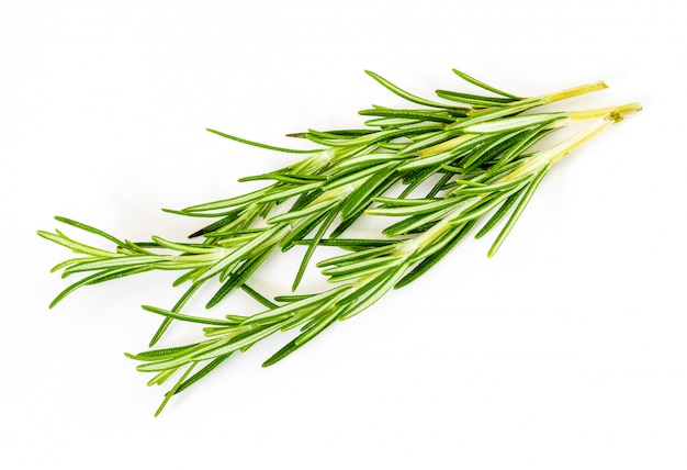  delicate branches of rosemary.