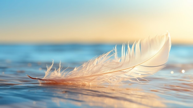 Photo a delicate feather gently floating on water