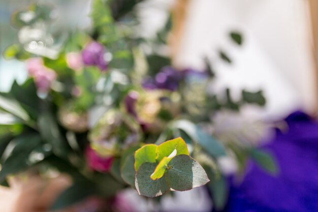 Delicate wedding decorations for the morning of the bride on the mountain lakes