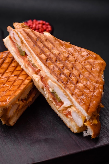 Delicious crispy sandwich with chicken breast tomatoes ketchup and spices