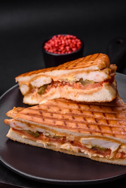 Delicious crispy sandwich with chicken breast tomatoes ketchup and spices