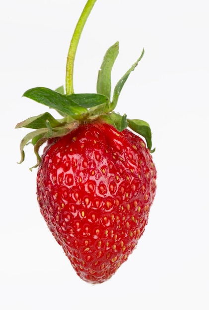 Delicious fresh red strawberries isolated on white Beautiful berry