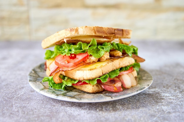 delicious and fresh sandwich on a slate surface