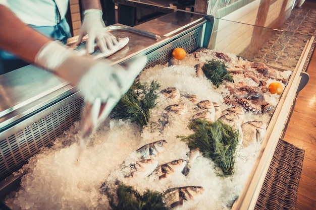 Delicious fresh seafood on ice with herbs and lemons and human hands