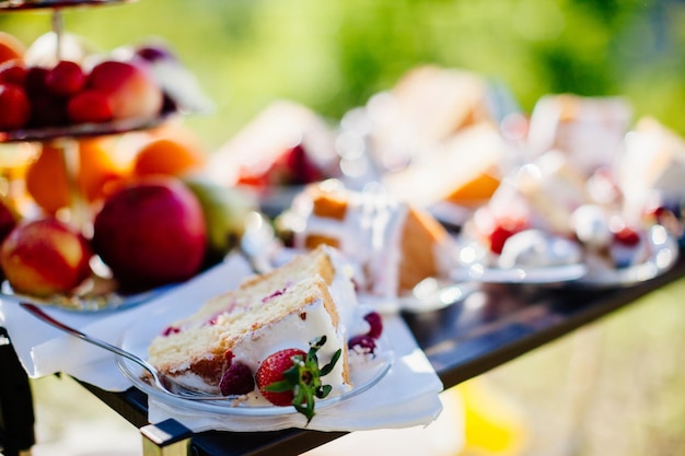 Delicious fruit cake sliced outdoors