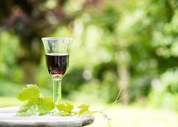 Photo delicious red wine with grape leafs on a wooden board in sunny cottage garden