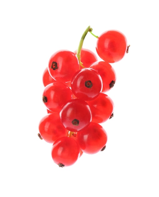 Delicious ripe red currants isolated on white