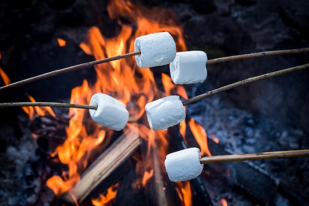 Photo delicious and sweet marshmallows on stick over the bonfire