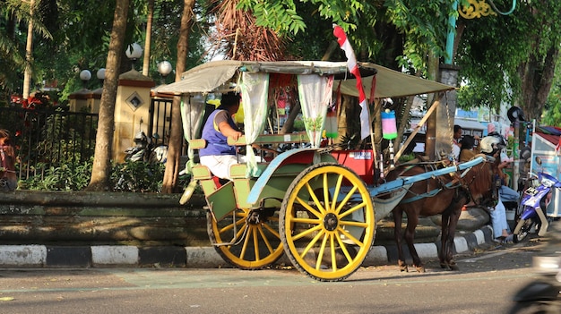 Delman is a traditional twowheeled transportation vehicle that uses horse power Indonesian culture