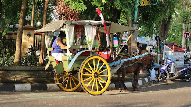 Delman is a traditional twowheeled transportation vehicle that uses horse power Indonesian culture