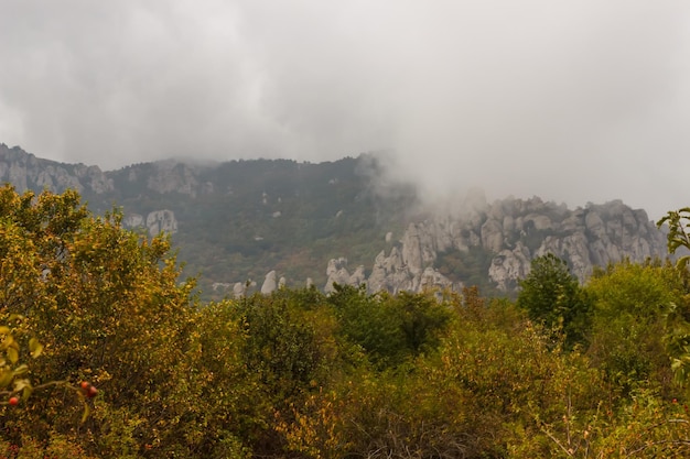 Demerdzhi Rocks in the fog