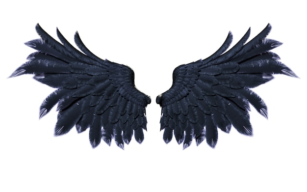 Demon Wings, Black Wing Plumage Isolated on White Background