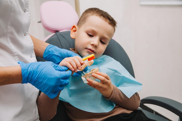 Dental care. Dentist with a little patient learning how to brush teeth on a denture.