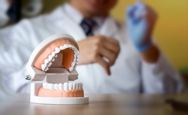 Dental concept; Dental human teeth model with blurred  background